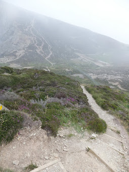 path across Sallys Bottom