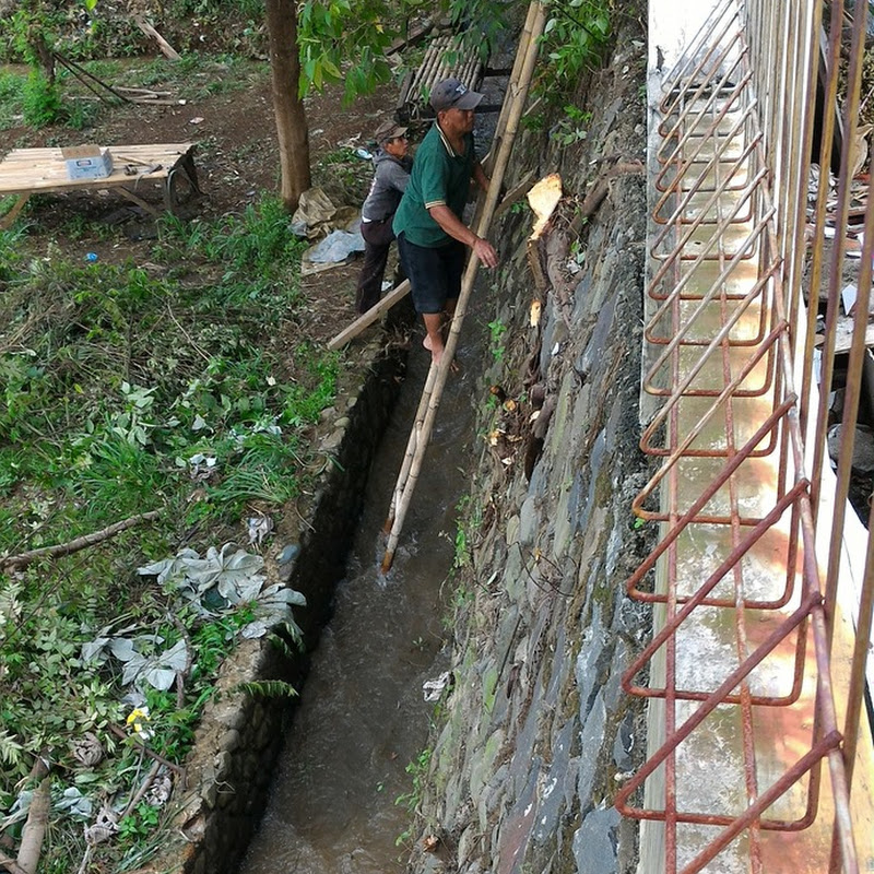 Eksekusi Pembabatan Pohon dan Tanaman Liar di Turap Perumahan