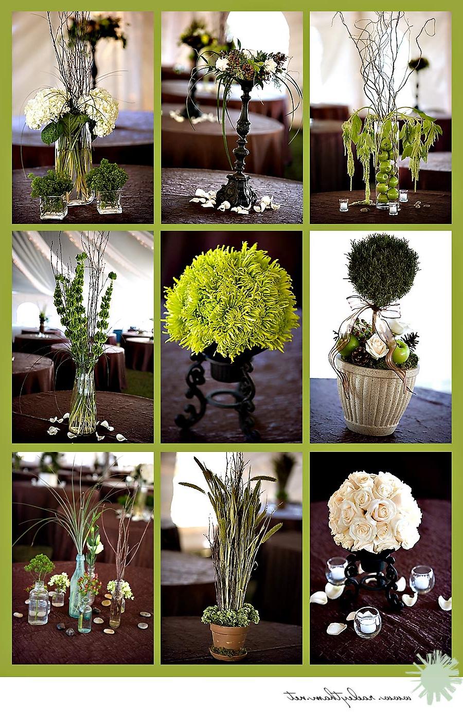 Centerpiece of the Week