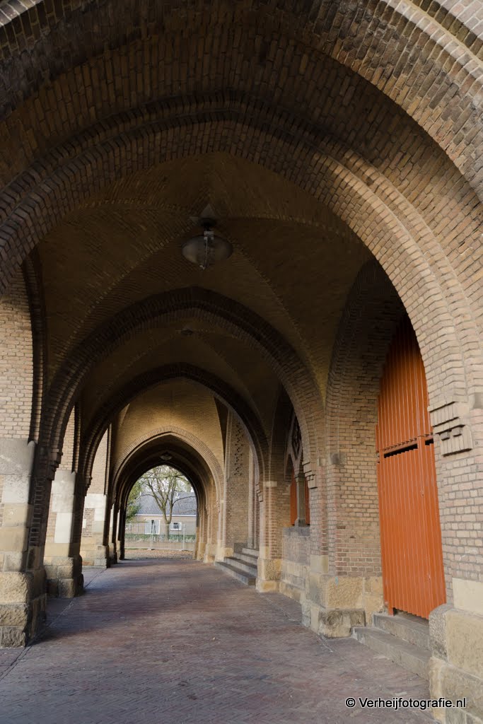 Sint bavo haarlem school