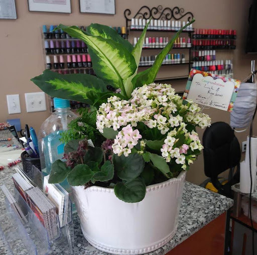 So Lovely Nail Salon LLC