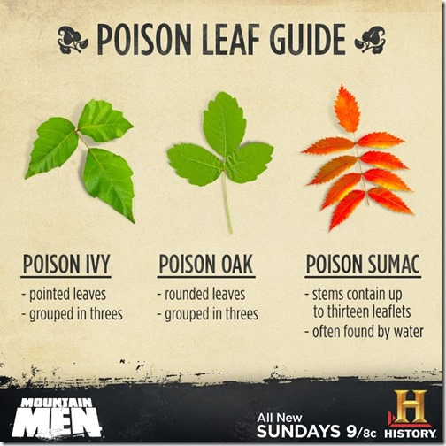 poison plants