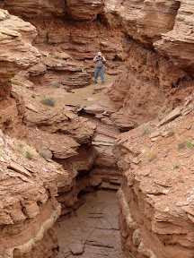 Canyon near Crow's Nest Spring