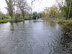 Shotesham  mill pond