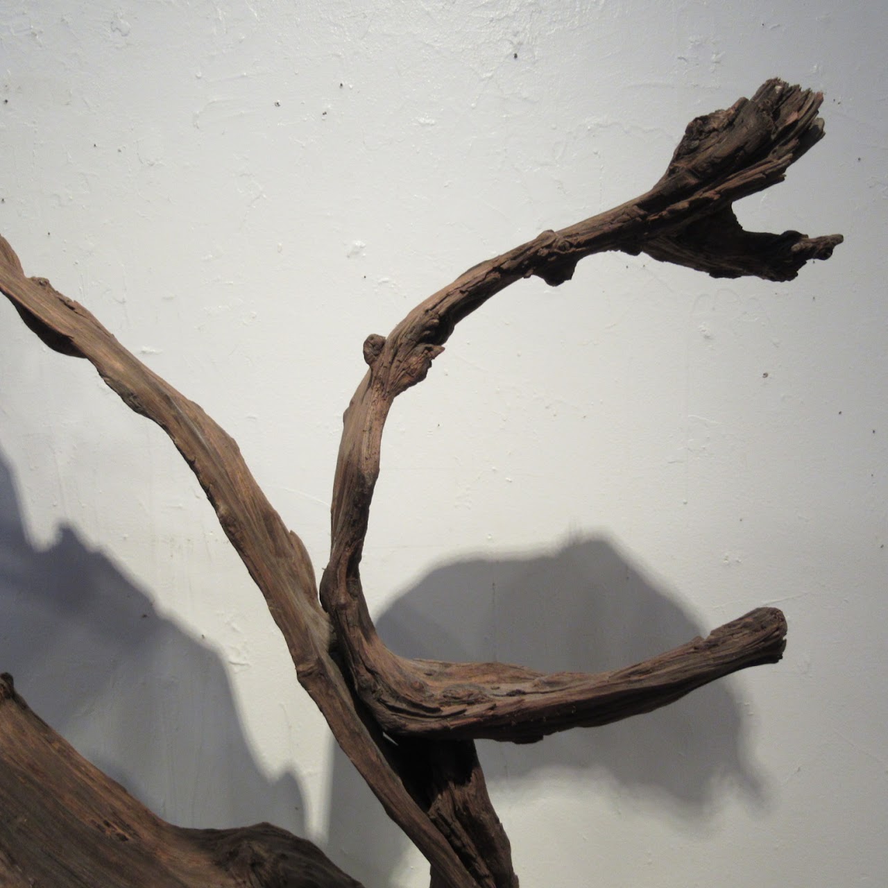 Large-Scale Driftwood Assemblage