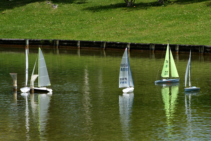 Dia de Regata na Algodeia