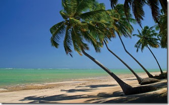 praia-coqueiro-patacho-alagoas-sao-miguel