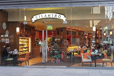 photo of Cilantro