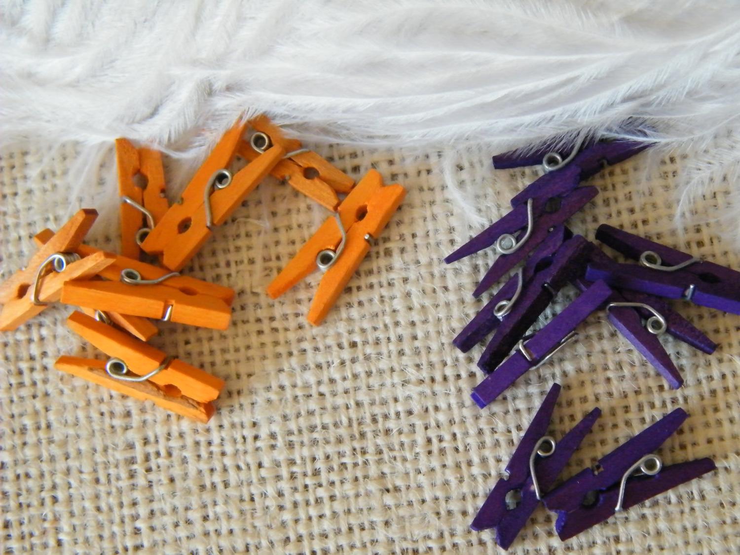 25 Tiny Wooden Clothespins Choose from Purple or Orange Wedding Wish