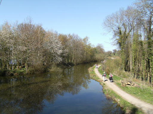 1004170019 Basingstoke Canal from Blacksmith's Bridge