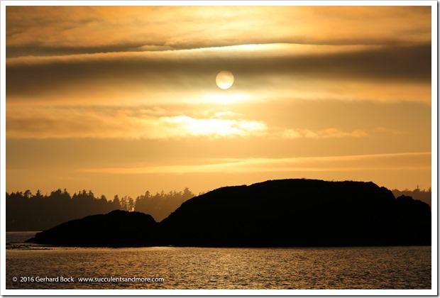 160902_Tofino_MacKenzieBeach_0029