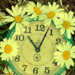 flower clock live wallpaper Apk