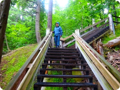 Tahquamenon Falls