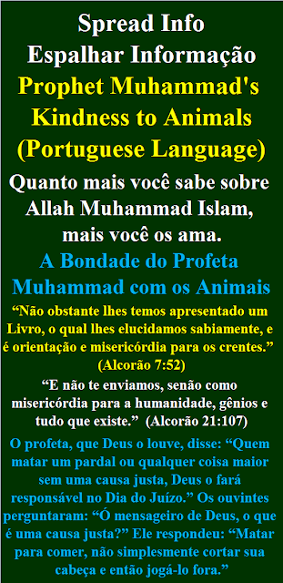 Prophet Muhammad's Kindness to Animals Portuguese Language A Bondade do Profeta Muhammad com os Animais