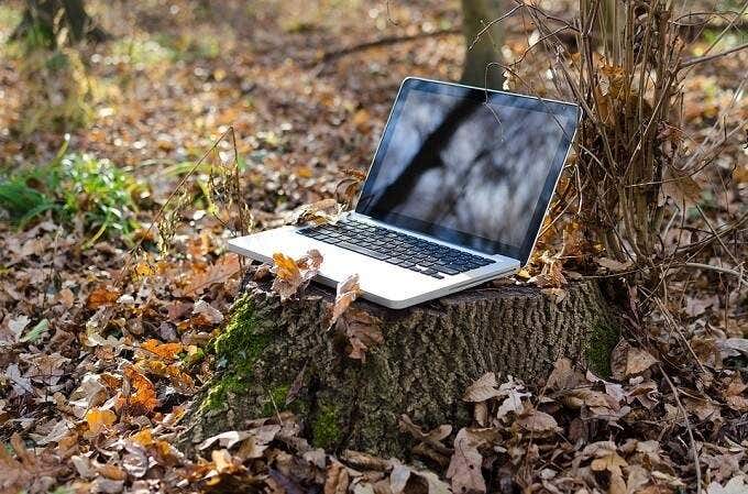 Mac-laptop op een boomstronk in het bos