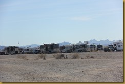 IMG_6014 IMG_6014