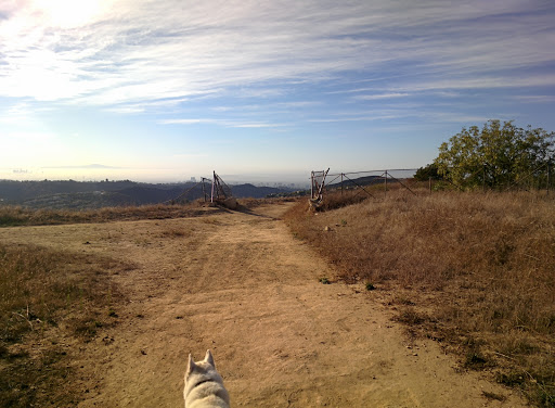 Park «San Vicente Mountain Park», reviews and photos, 17500 Mulholland Dr, Los Angeles, CA 90049, USA