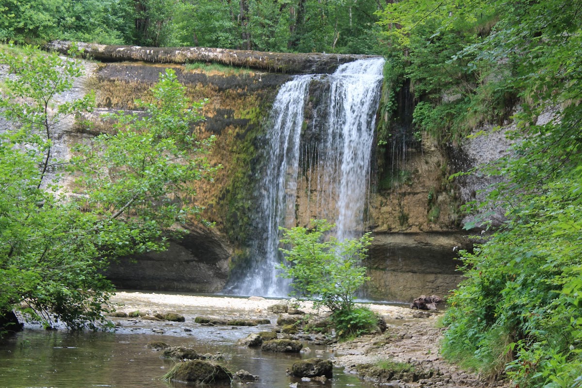 Les cascades du herrisson - Page 2 IMG_3310