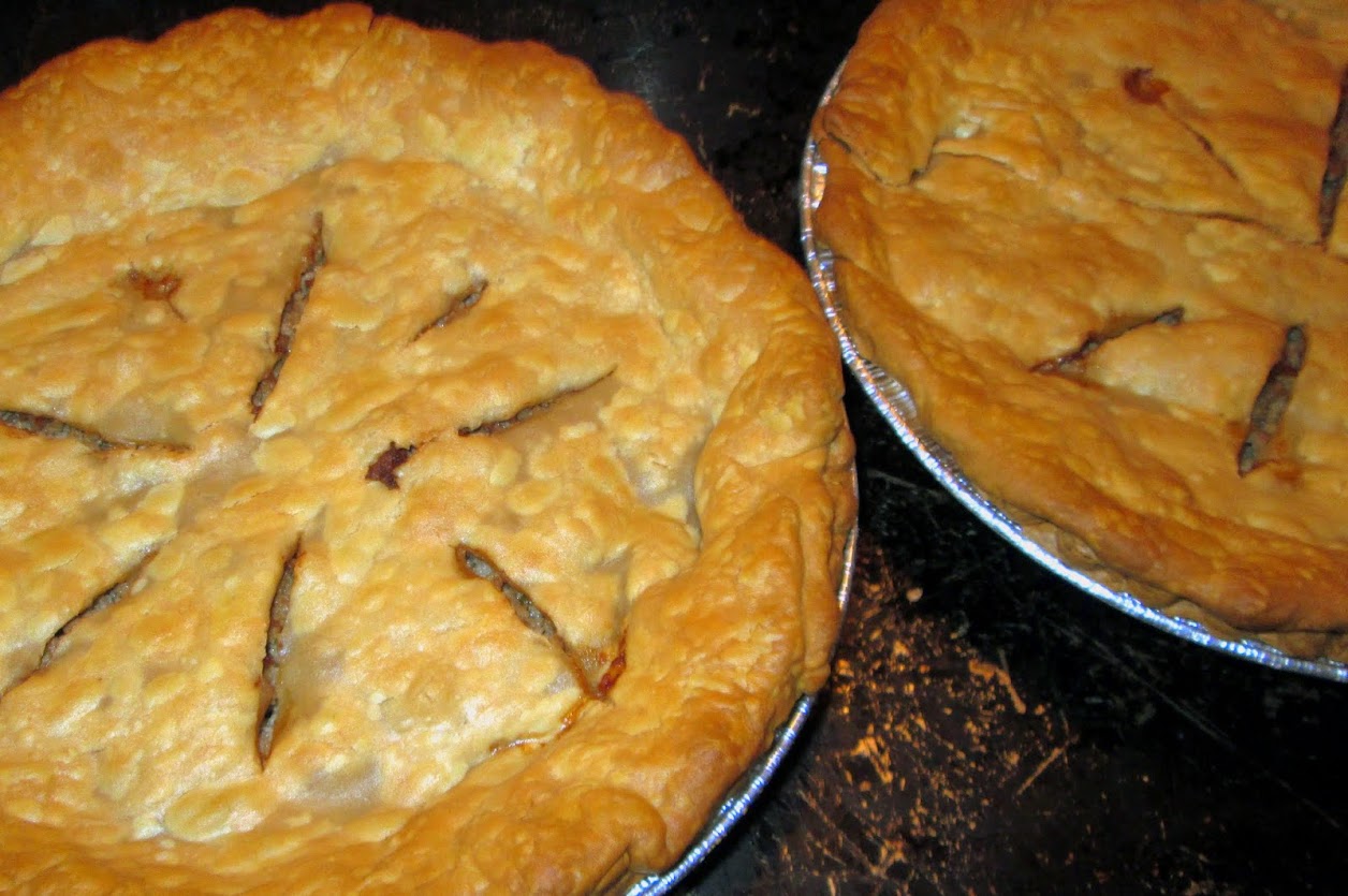 Favorite Pi(e) Recipes for Pi Day on Homeschool Coffee Break @ kympossibleblog.blogspot.com  #recipes #pie