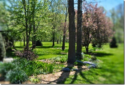 front yard between beds