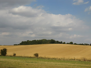 CIMG6059 Essex farmland in late summer