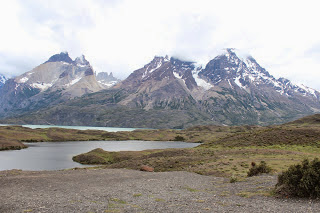 Rumbo al Norte, rumbo al Sur. Torres del Paine y lago Grey. - EL AÑO DE LAS DOS PRIMAVERAS: 4 MESES VIVIENDO CHILE (5)