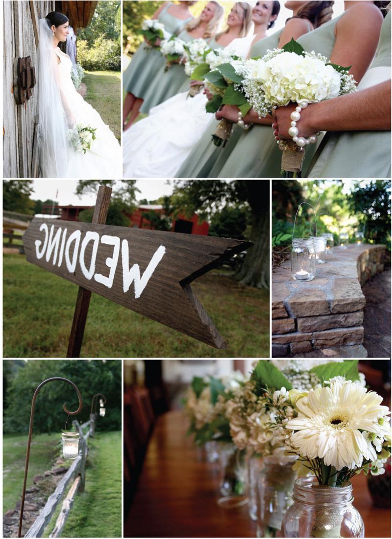 and shasta daisies,