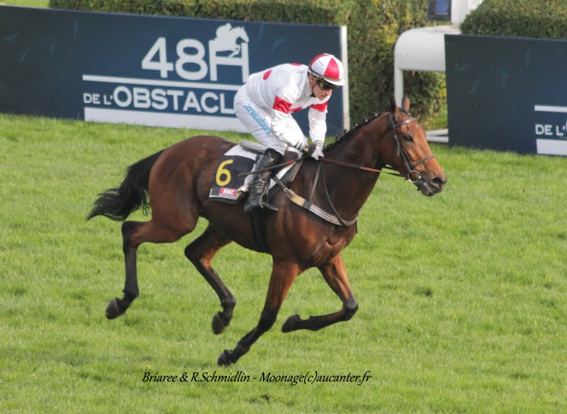 Photos Auteuil 8-11-2015 (48h de l'obstacle) IMG_6871