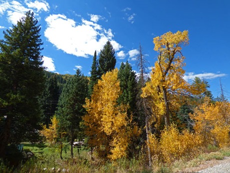 Big Cottonwood Canyon - Autumn 