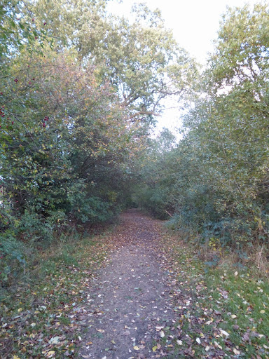 Entrance to Derry's wood