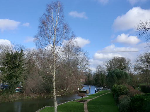 CIMG2674 The Wey Navigation at Weybridge