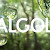 Algol Group