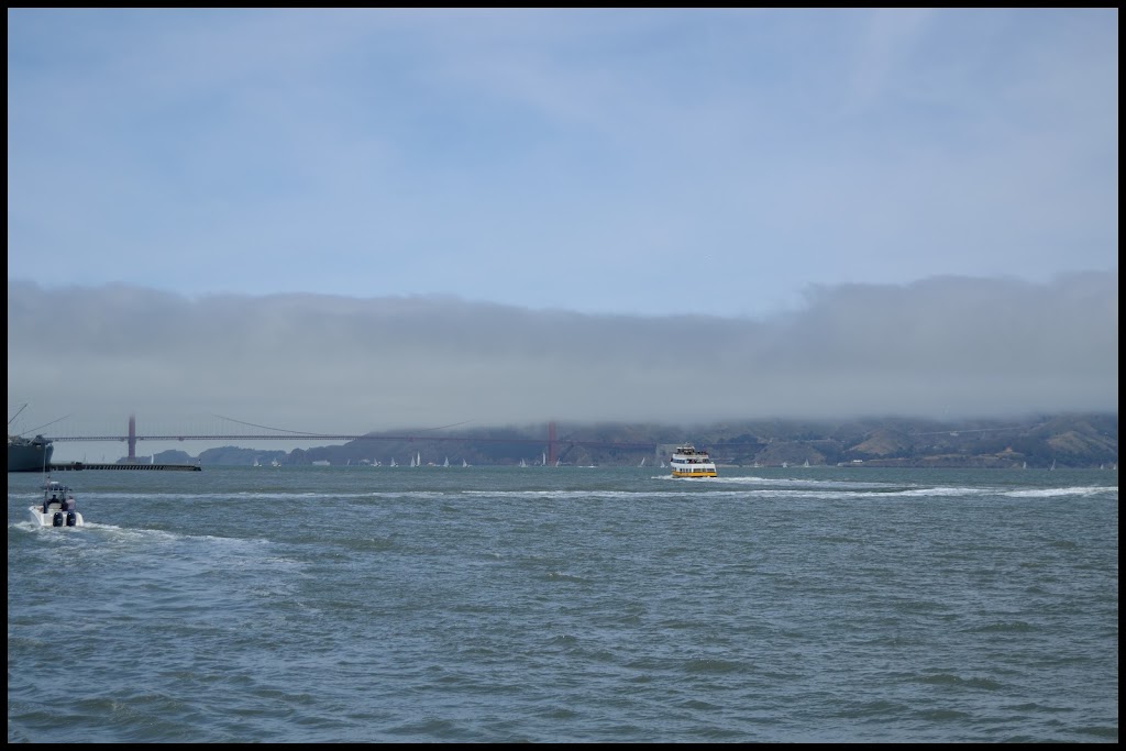 SAN FRANCISCO PARTE 1. - INTENSA RUTA POR LA COSTA OESTE USA 2015 (16)