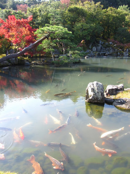 Осенняя Япония, или По следам цветных листьев (2-16 ноября 2014)