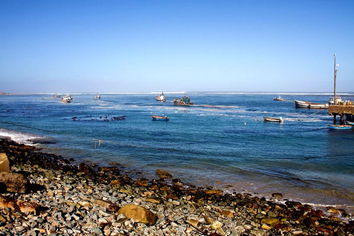 As pedras de sapo de Port Nolloth