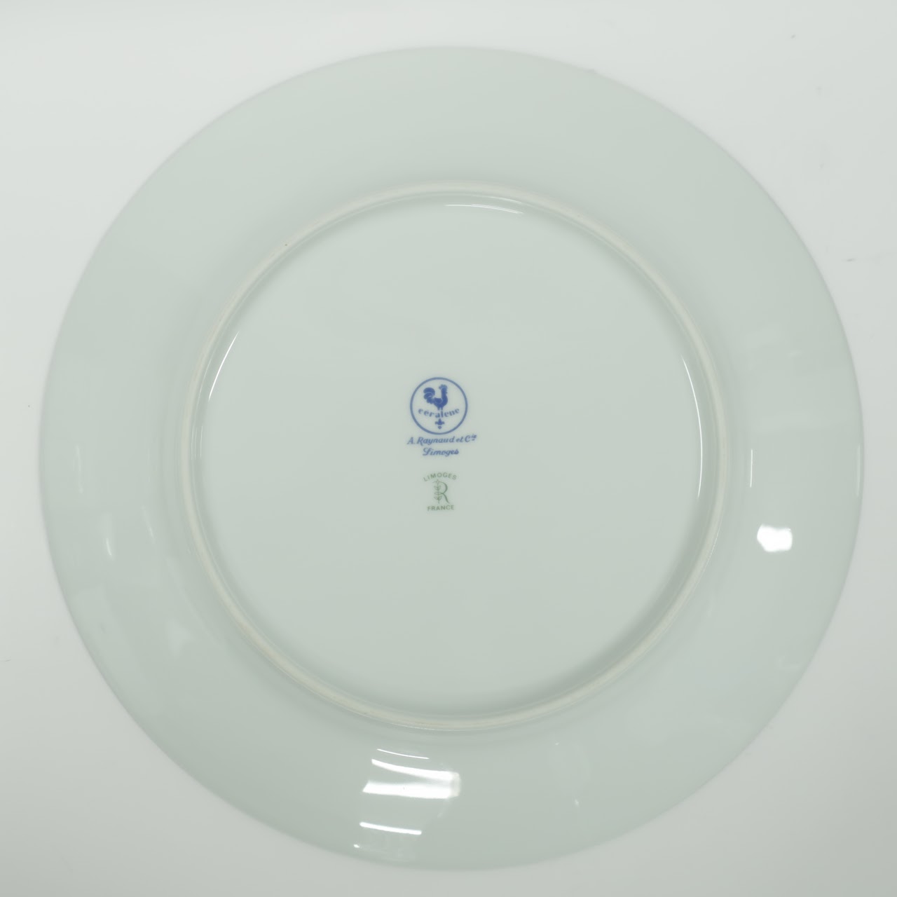 Raynaud & Co. Limoges 24-Piece Plate Set