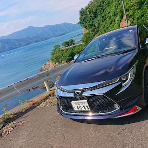 カローラツーリング ZRE212W