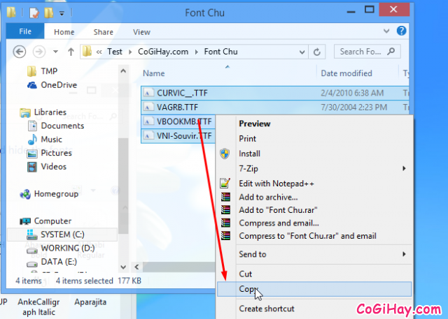 Chọn và copy các Fonts cần cài