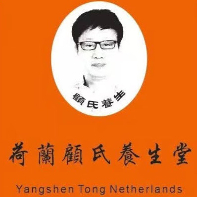 YangShengTong Orthopedie logo