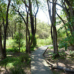 Pains Road boardwalk (344899)