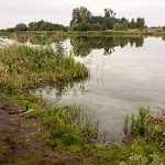 20150729_Fishing_Zhilianka_063.jpg