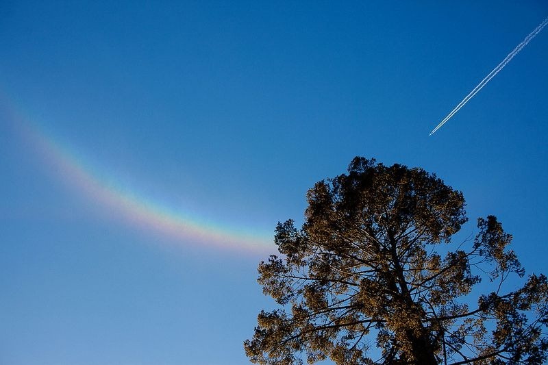 circumzenithal-arc-5