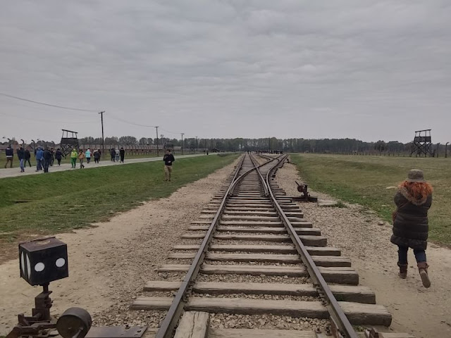 11/10- Auschwitz: De quedarse roto y sin palabras - Patea conmigo Cracovia (40)