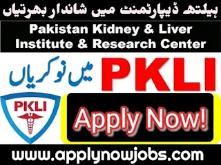 300 PKLI Jobs 2024 - Apply Now!