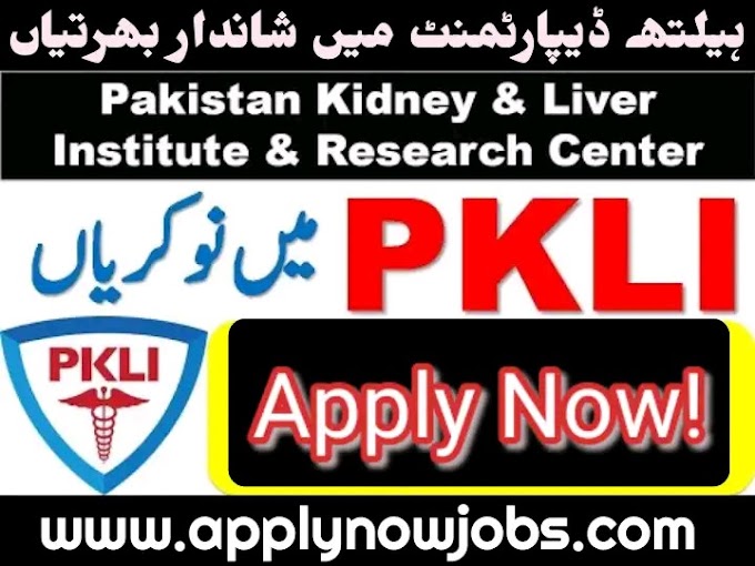 300 PKLI Jobs 2024 - Apply Now!