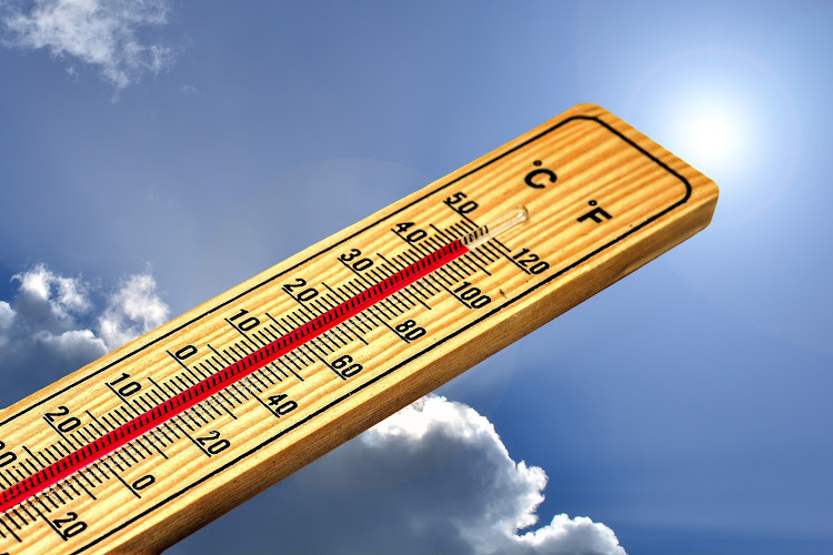 Weather officials recorded a high of 40.2°C in Port Elizabeth on Sunday - the hottest day on record in 55 years