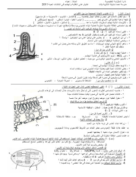 امتحان على التغذية فى الكائنات الحية  Untitled