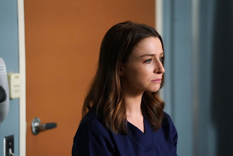 파일:Amelia Shepherd.jpg