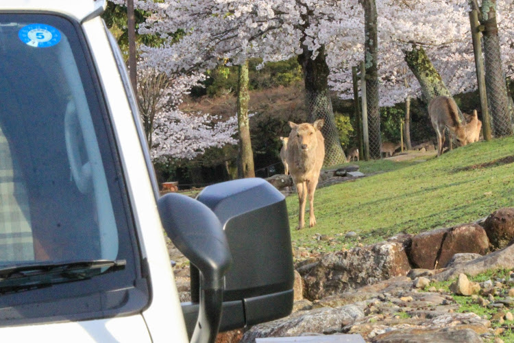 の投稿画像3枚目