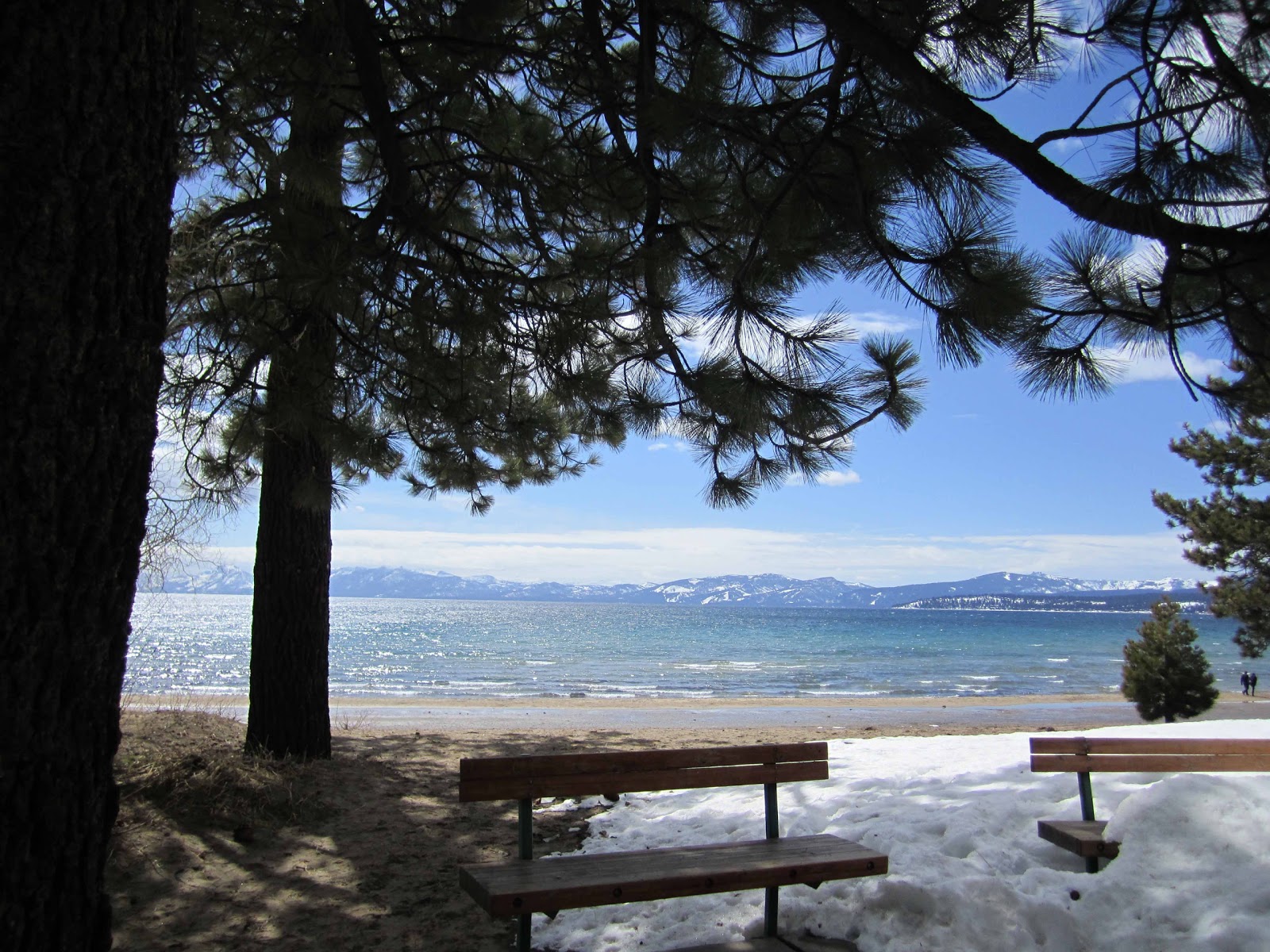 Lake Tahoe's Alive Kings Beach CA